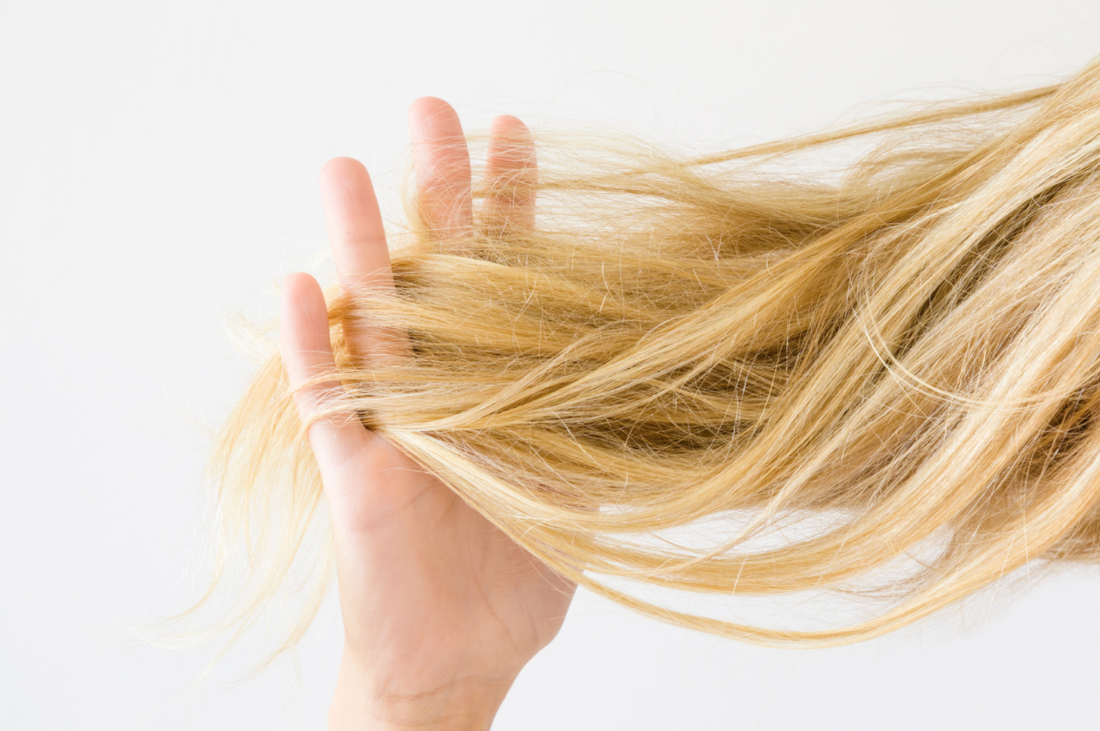 Dry, blonde, long hair