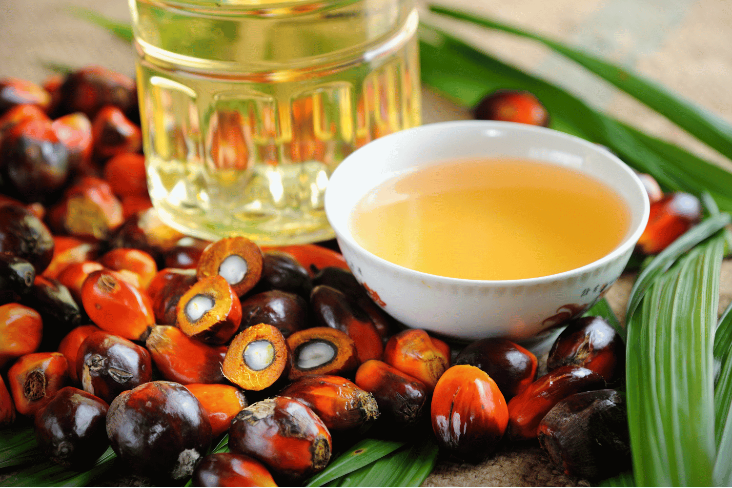 Batana Oil for Hair Growth | Benefits, Side Effects & Alternatives