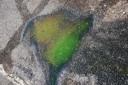Glycol antifreeze spilled on pavement