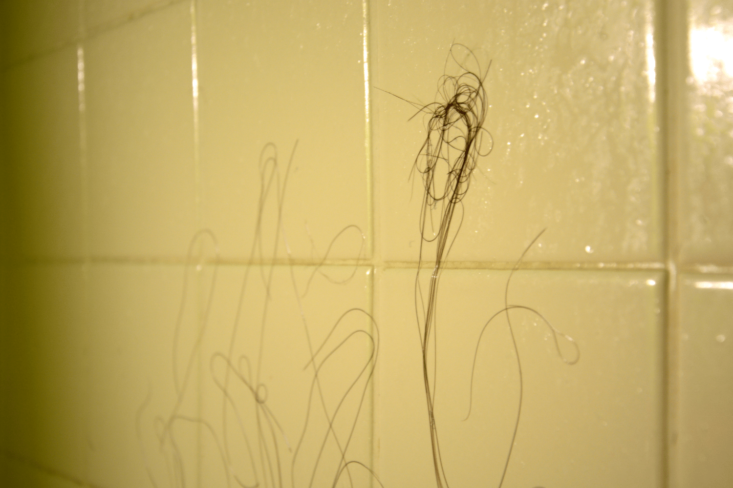 http://getrevela.com/cdn/shop/articles/why_is_my_hair_falling_out_in_the_shower.png?v=1655387885