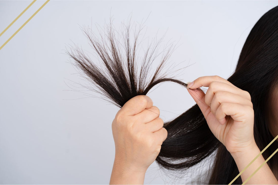 Do Split Ends Stop Hair Growth?
