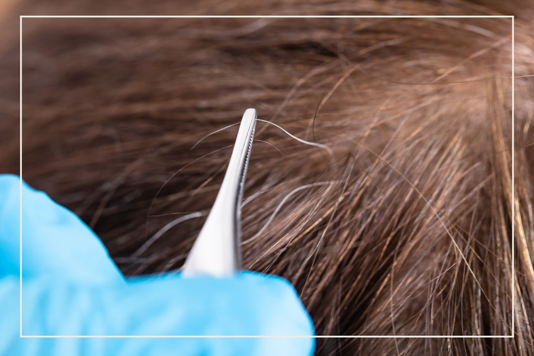 Does Plucking Stop Hair Growth?