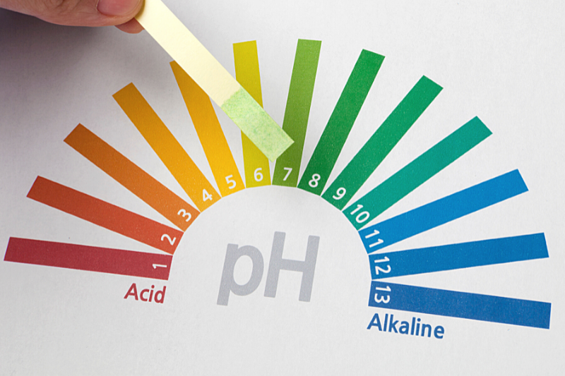 Your Hair's pH Level is important in maintaining healthy hair.