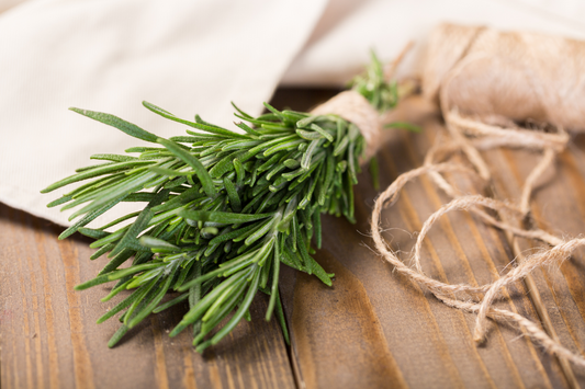 Rosemary Oil For Hair Growth: Science Fact or New Age Fiction?
